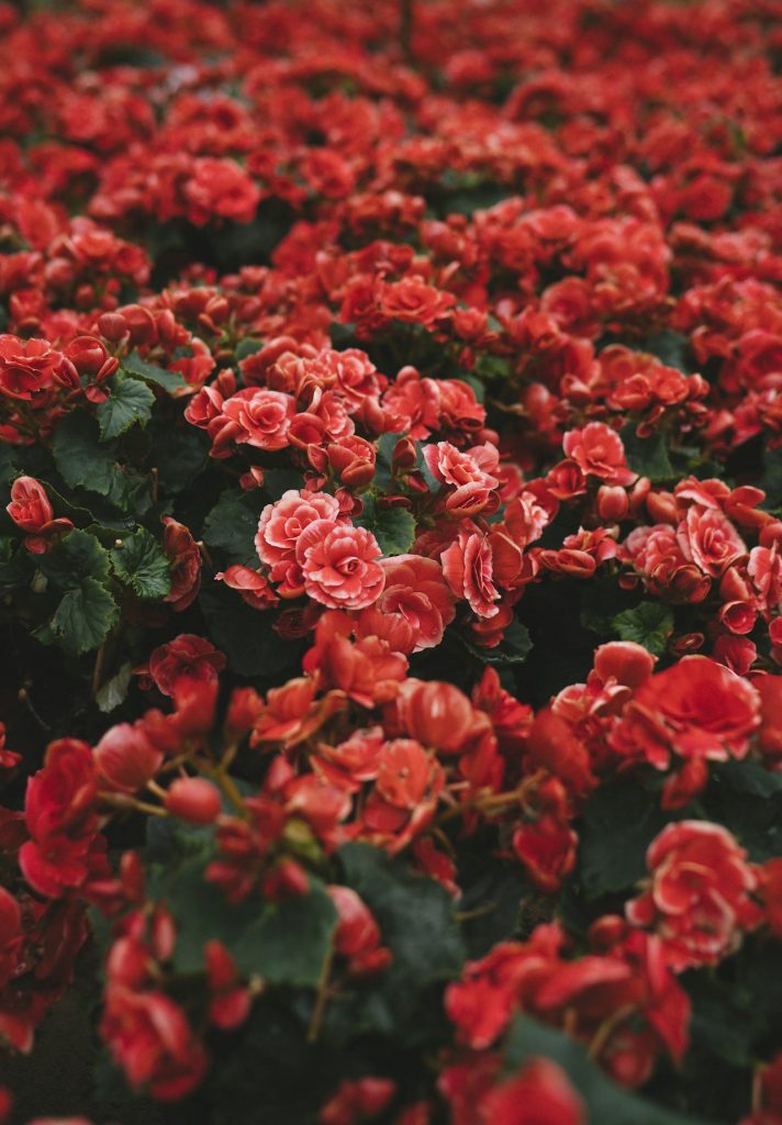 Đội ngũ florist của Shop Hoa Sài Gòn