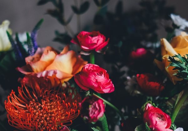 Cắm và chăm sóc hoa tươi tại nhà