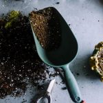Lẵng hoa chúc mừng tông sang trọng