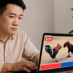F8BET: Cập nhật kèo nhanh và Lịch thi đấu đá gà live dễ theo dõi